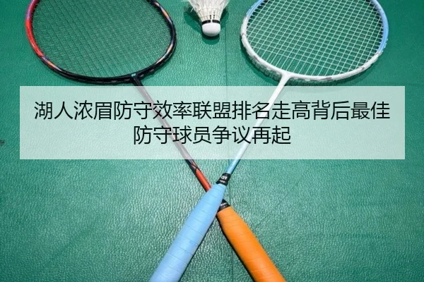湖人浓眉防守效率联盟排名走高背后最佳防守球员争议再起