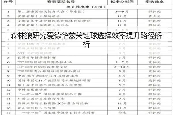 森林狼研究爱德华兹关键球选择效率提升路径解析