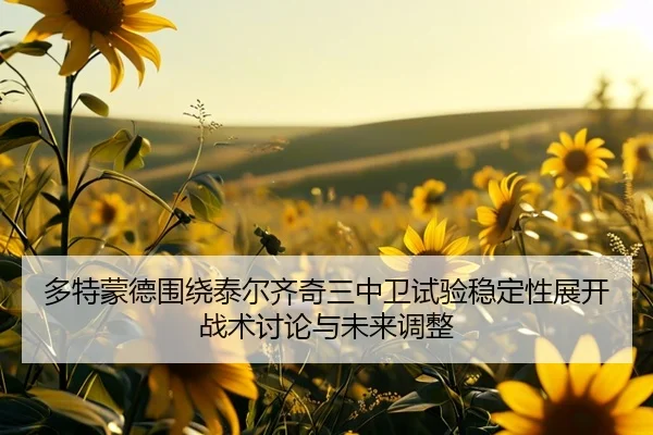 多特蒙德围绕泰尔齐奇三中卫试验稳定性展开战术讨论与未来调整