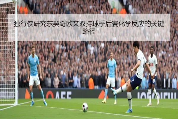 独行侠研究东契奇欧文双持球季后赛化学反应的关键路径